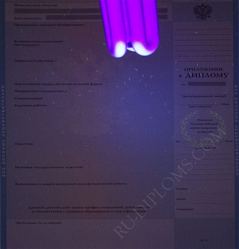 Диплом магистра 2004-2009 год 